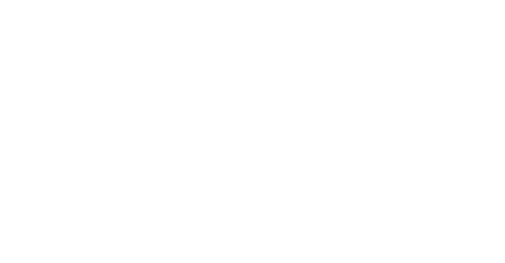 TITAN Logo & wordmark White